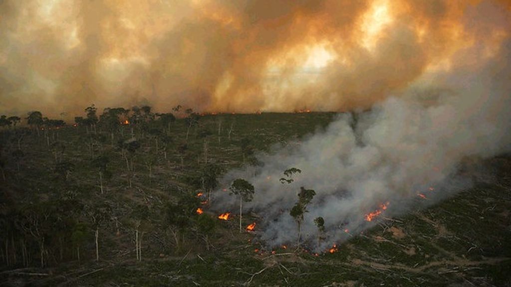 Más de un millón de personas pide a Bruselas una ley contra la deforestación y sus productos derivados en la UE Más de un millón de personas pide a Bruselas una ley contra la deforestación y sus productos derivados en la UE