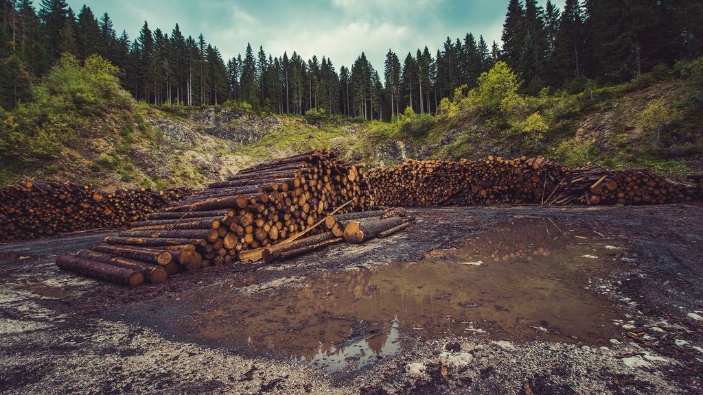 EuropaPress_3310157_mas_centenar_ong_piden_ue_luche_ley_contra_deforestacion_mundial