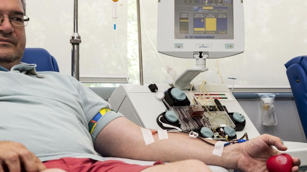 donarsangre donarsangre
