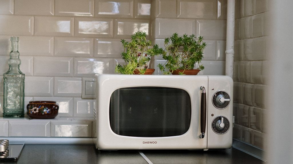 Agua, salsa de tomate casera y otros alimentos que jamás debes meter en el microondas