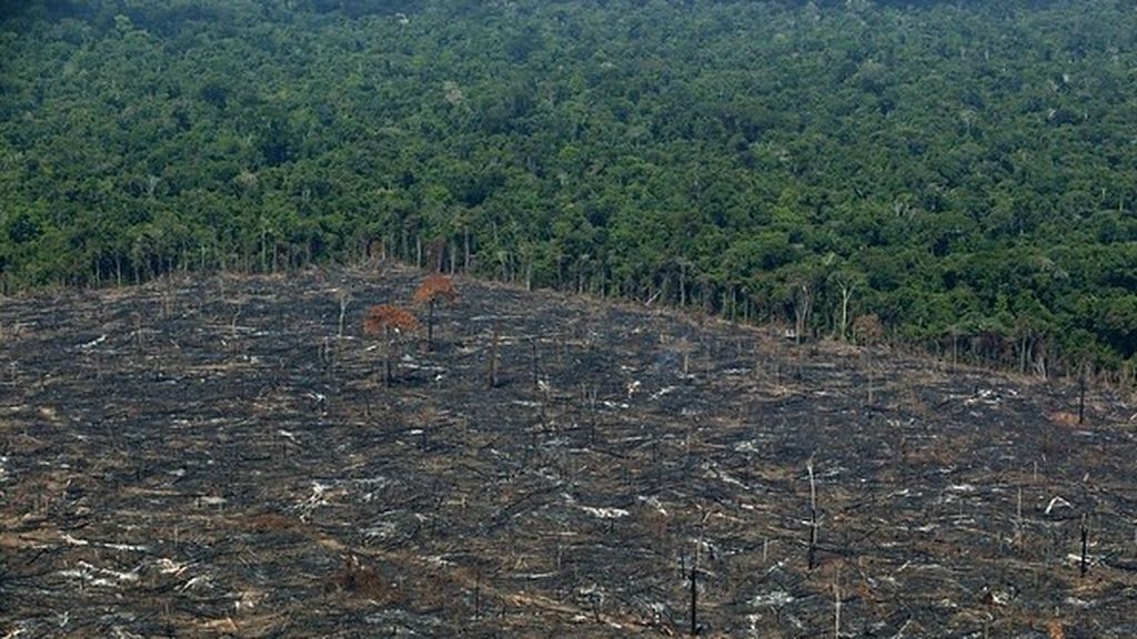 EuropaPress_3189140_greenpeace_denuncia_importacion_espanola_carne_procedente_deforestacion