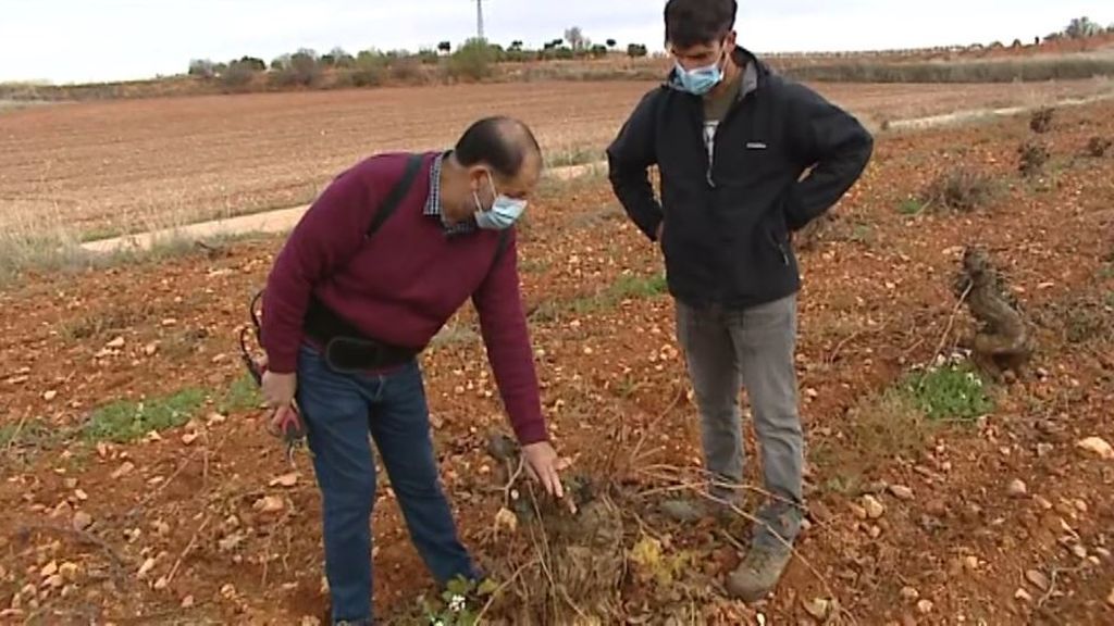Erasmus agrario, un proyecto para rejuvenecer el campo español
