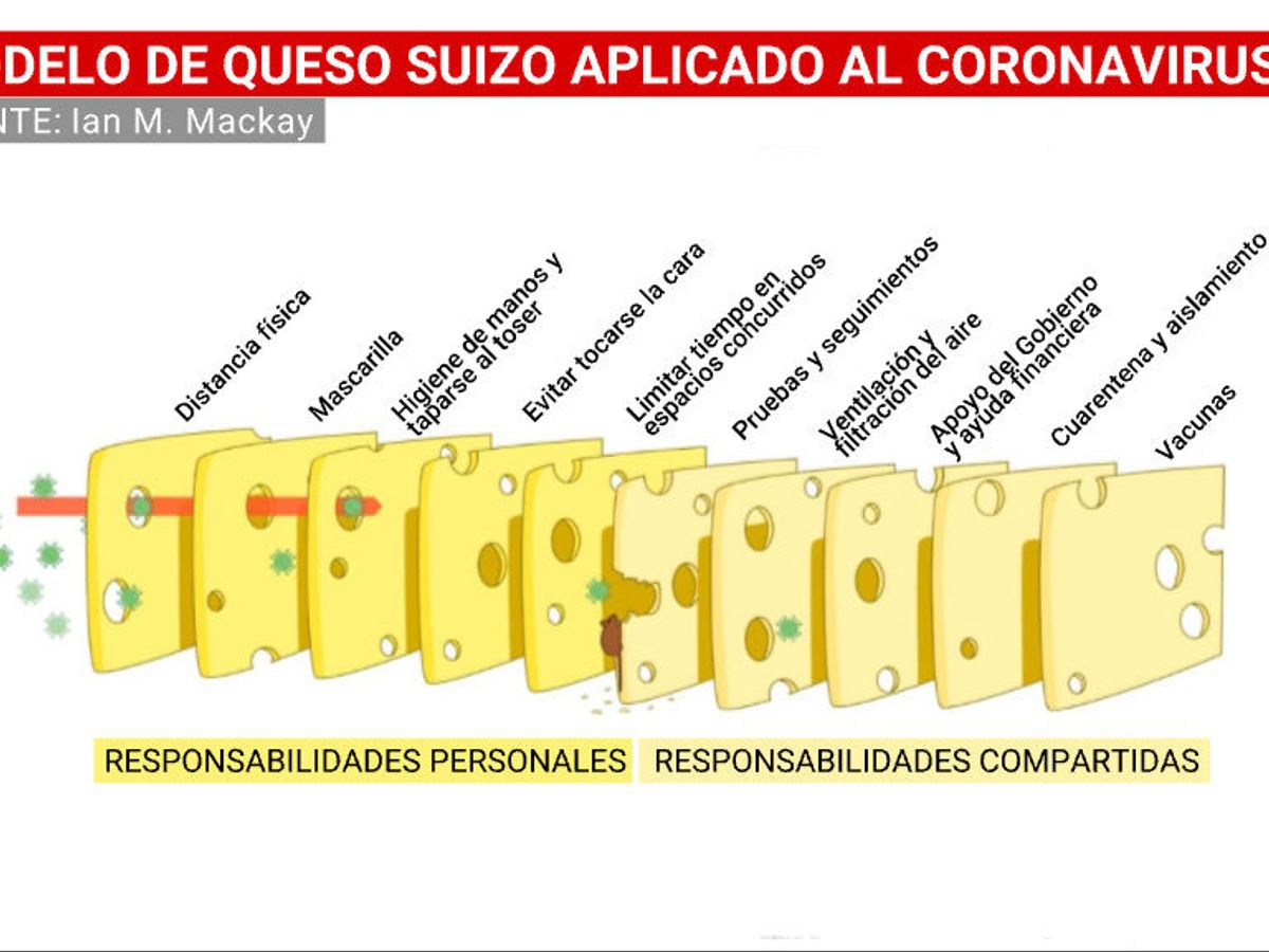 Un queso suizo, un virólogo australiano y una vieja teoría: los  ingredientes perfectos para frenar al virus - NIUS