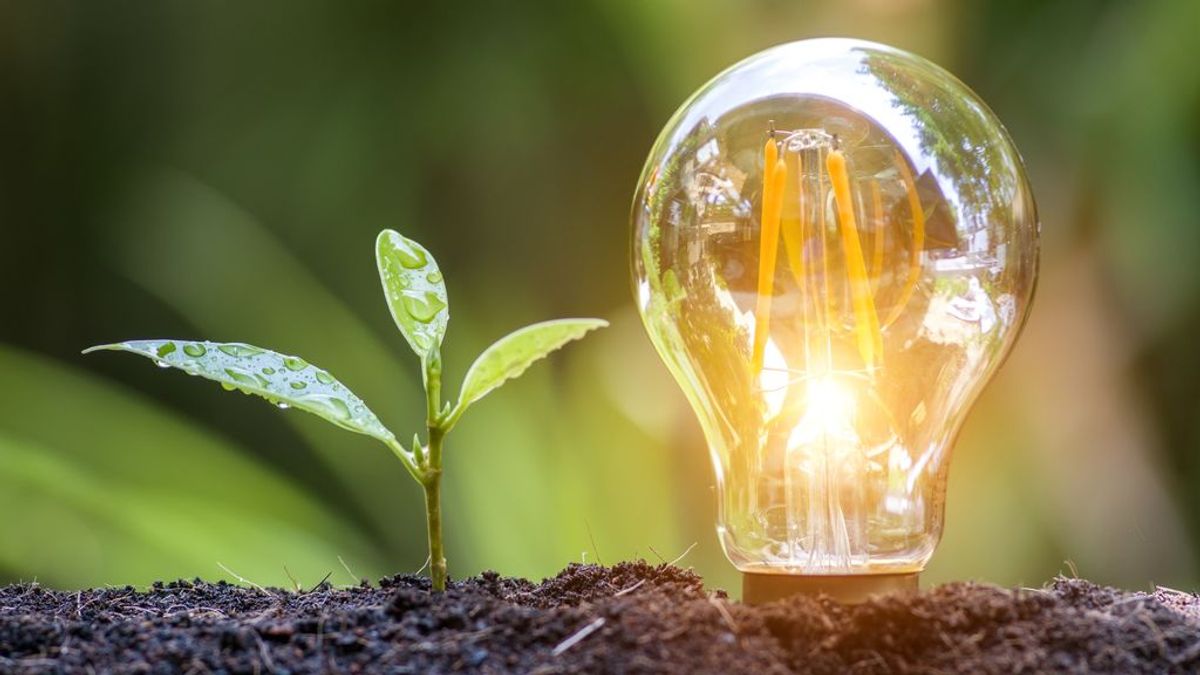 El precio de la luz sube un 4,7% en la primera quincena de noviembre El precio de la luz sube un 4,7% en la primera quincena de noviembre