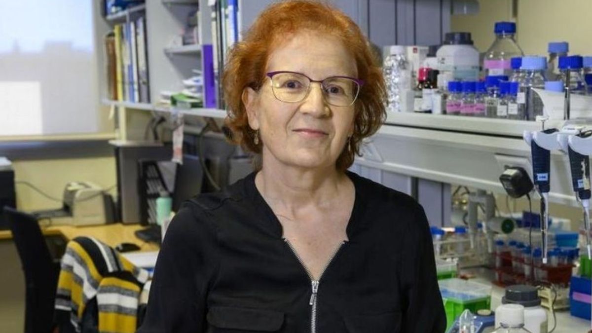Margarita del Val frena la euforia por las vacunas de Pfizer y Moderna: "Falta saber si protege de síntomas graves" Margarita del Val frena la euforia por las vacunas de Pfizer y Moderna: "Falta saber si protege de síntomas graves"