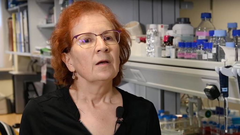 La viróloga Margarita del Val enfría el entusiasmo sobre las vacunas del covid: "Solo valen para casos leves"