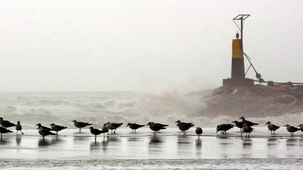 Viento y olas de 6 metros en las costas mediterráneas: el tiempo que hará el miércoles en España