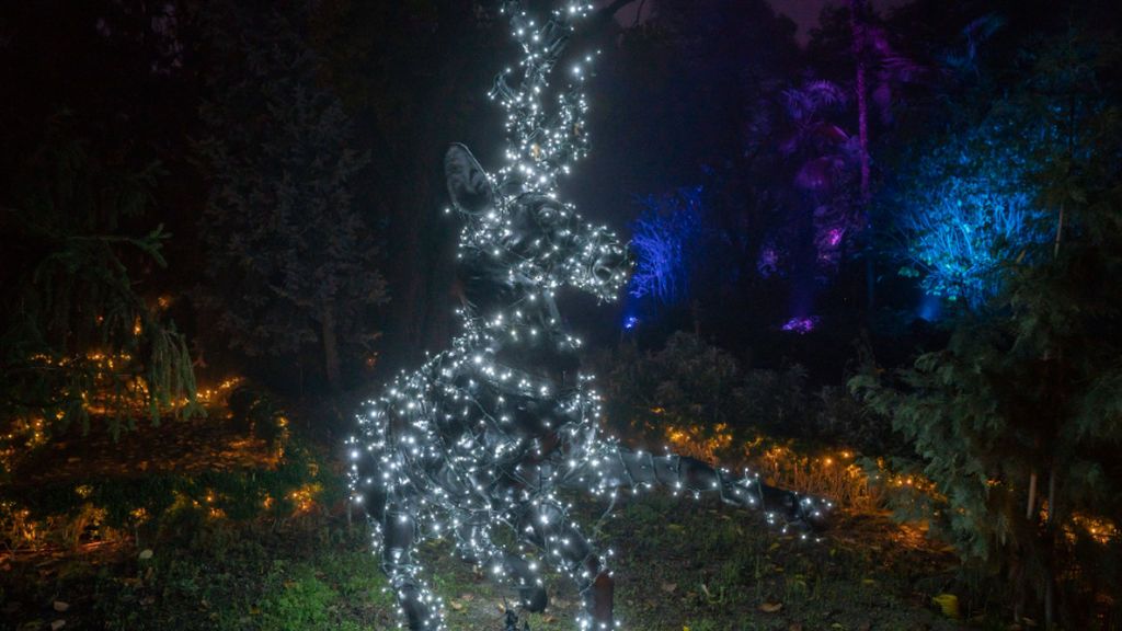 botanico5 (1)