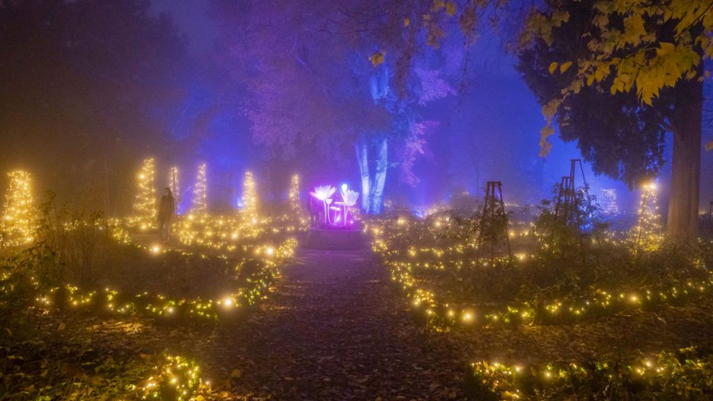 botanico2 (1)