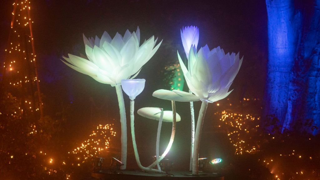 El Jardín Botánico ya 'luce' en la Navidad de Madrid: un espectáculo visual con más de un millón de luces led El Jardín Botánico ya 'luce' en la Navidad de Madrid: un espectáculo visual con más de un millón de luces led