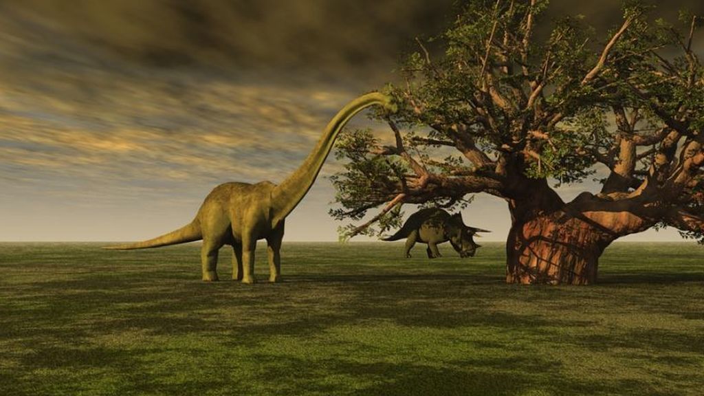 dino i