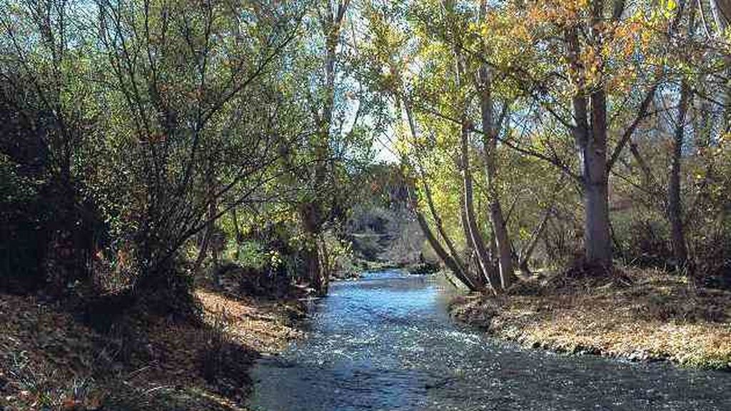 Río Guadarrama.