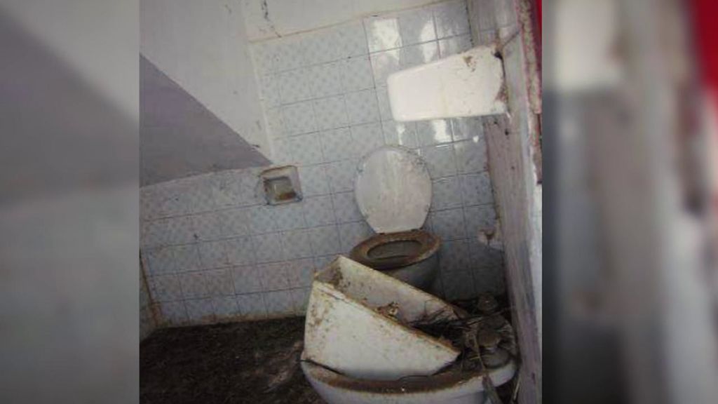 Imagen del interior de la parte ganadera