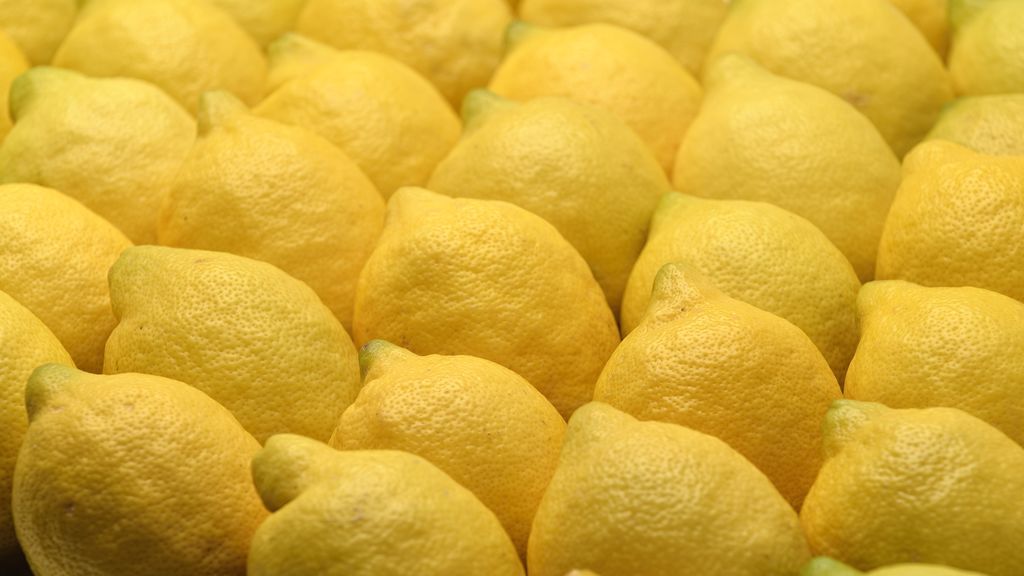 El limón de Europa: un producto que ofrece garantías con calidad certificada
