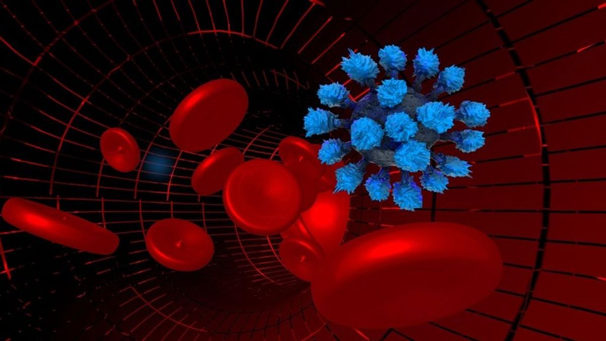 Científicos identifican un posible nuevo tratamiento de COVID-19 en ratones Científicos identifican un posible nuevo tratamiento de COVID-19 en ratones