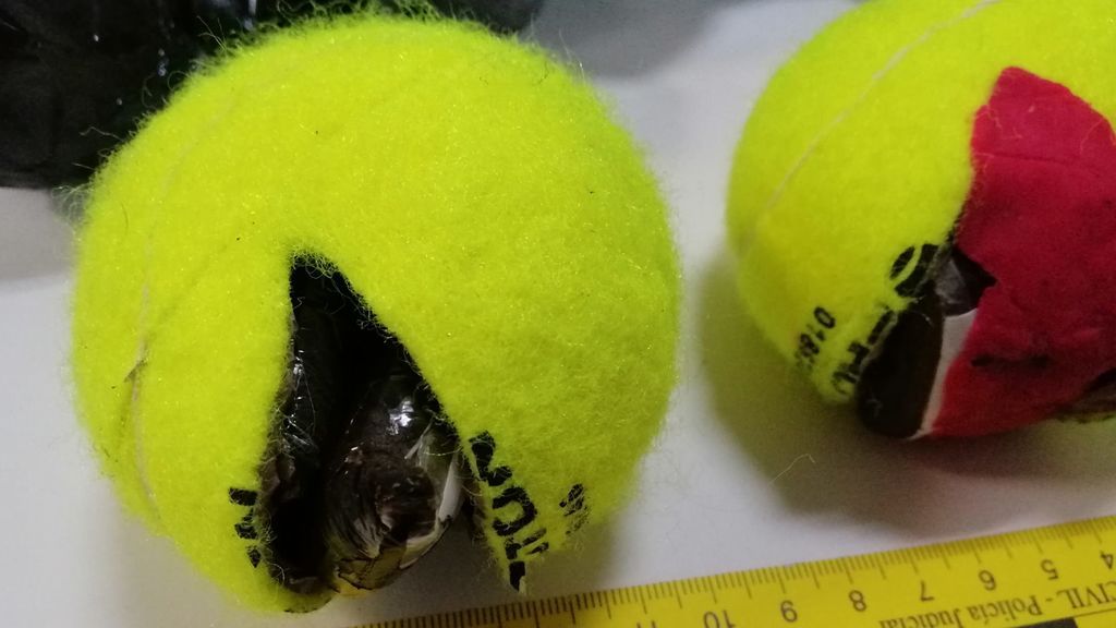 tenis