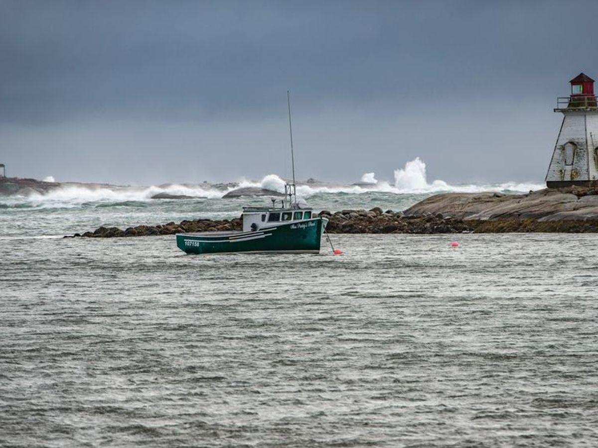 el mar desaparece antes de un tsunami