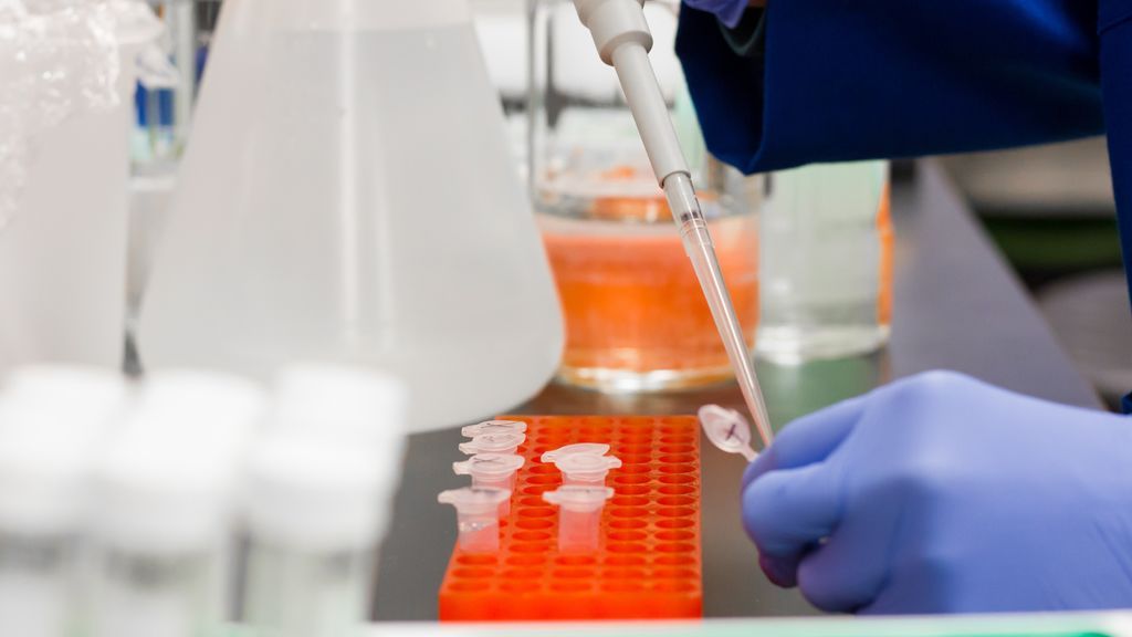 La infección por el virus del COVID-19 ofrece protección durante al menos seis meses, según estudio de Oxford La infección por el virus del COVID-19 ofrece protección durante al menos seis meses, según estudio de Oxford