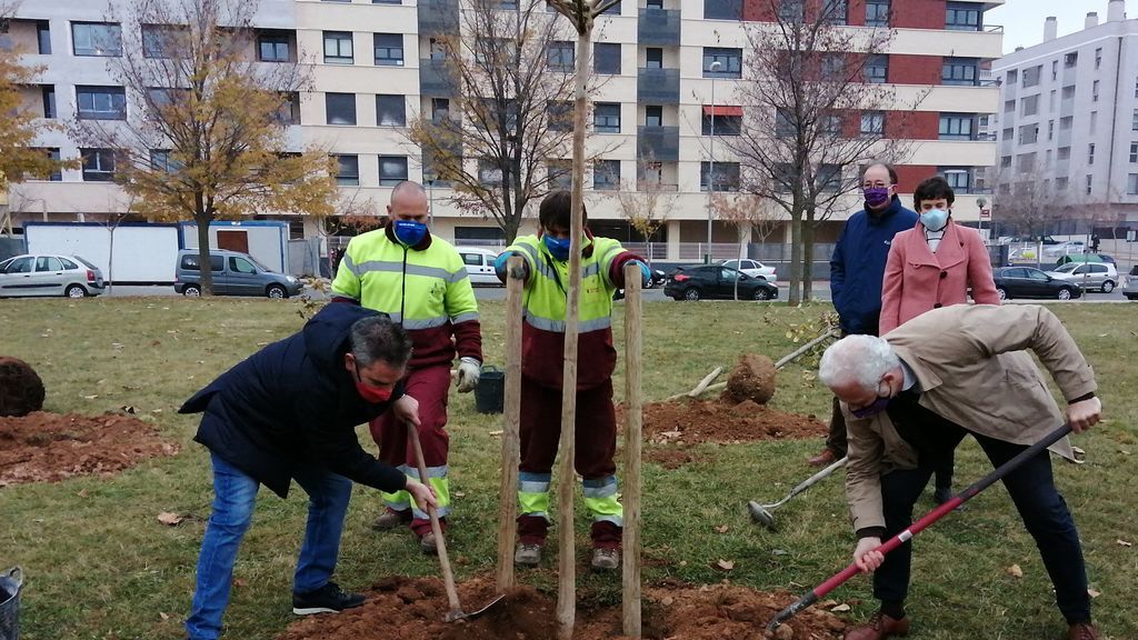 201125 soc arbol ugt violencia machista