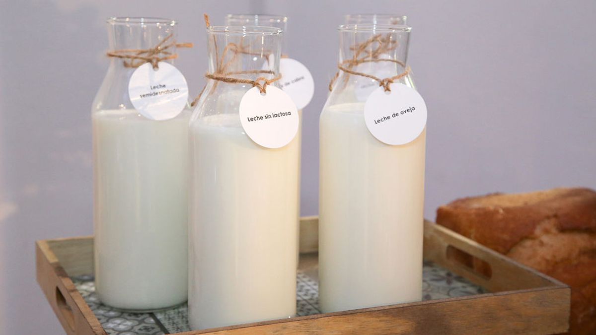 La leche y sus derivados son fundamentales para la salud de cualquier adulto: ¿qué nos aportan realmente?