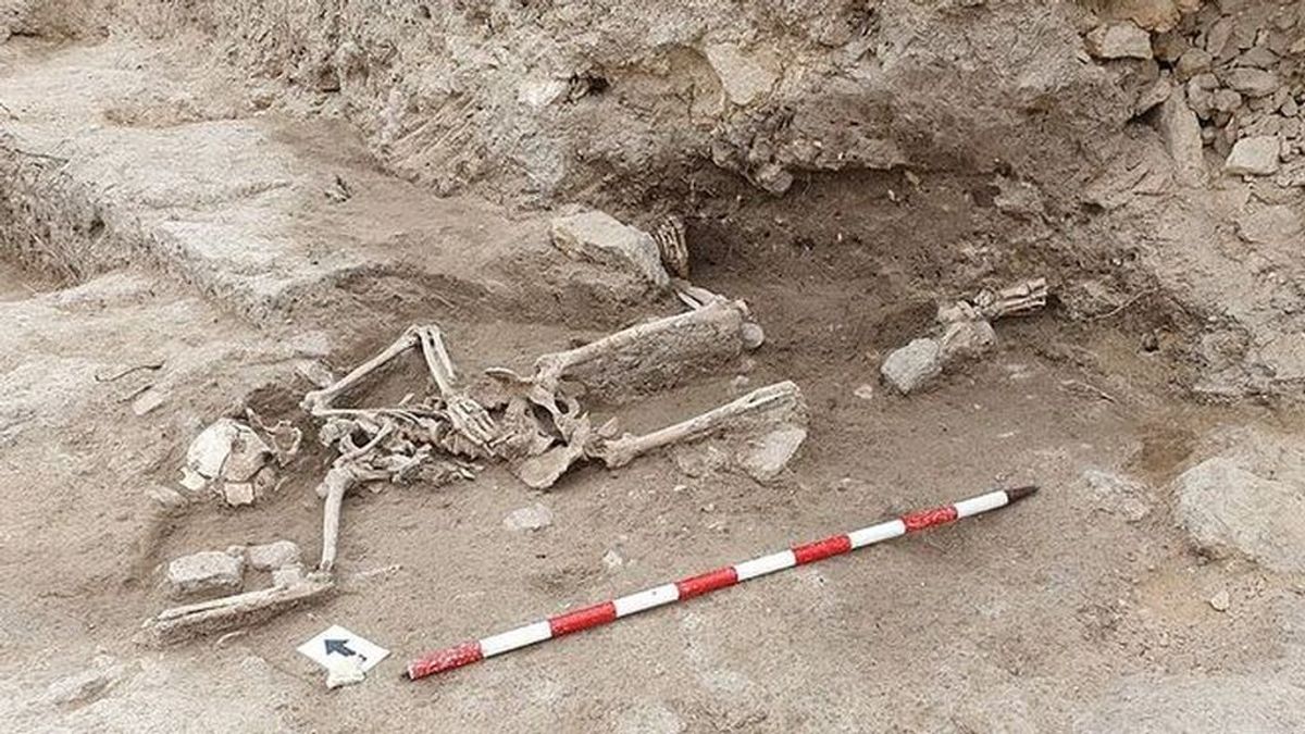 Las 25 cuchilladas a un caballero medieval en Guardamar avivan este misterioso hallazgo arqueológico Las 25 cuchilladas a un caballero medieval en Guardamar avivan este misterioso hallazgo arqueológico