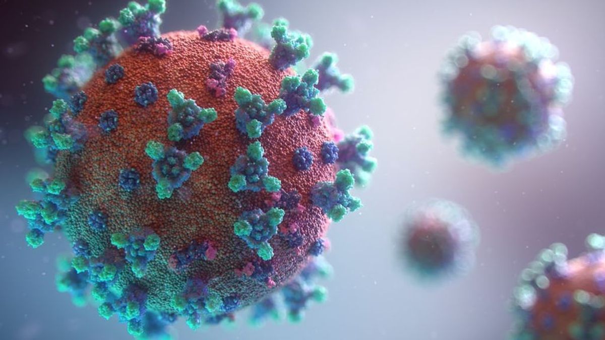¿Por qué no todos los virus son malos para la salud?