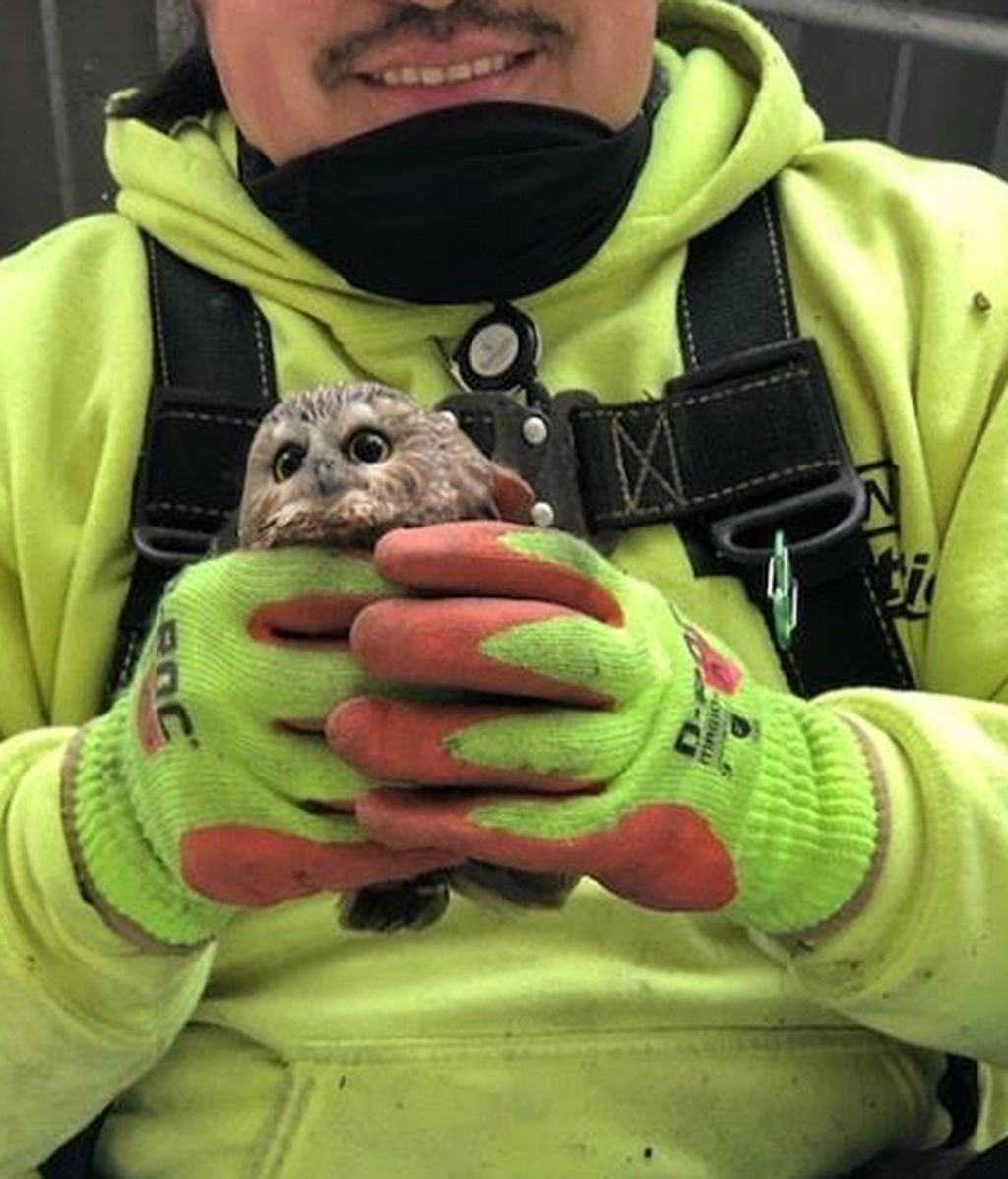 125802419_2833721910243788_5129586797115076062_n