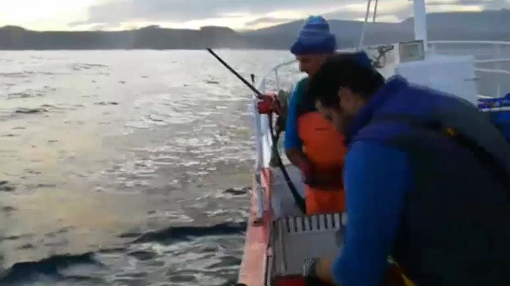 Pescadores asturianos rescatan a una tortuga laúd atrapada por el plástico