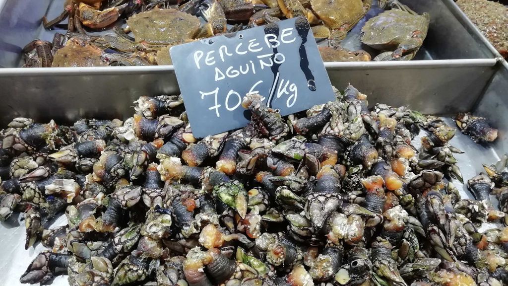 Percebes procedentes de Aguiño, en Ribeira (A Coruña)