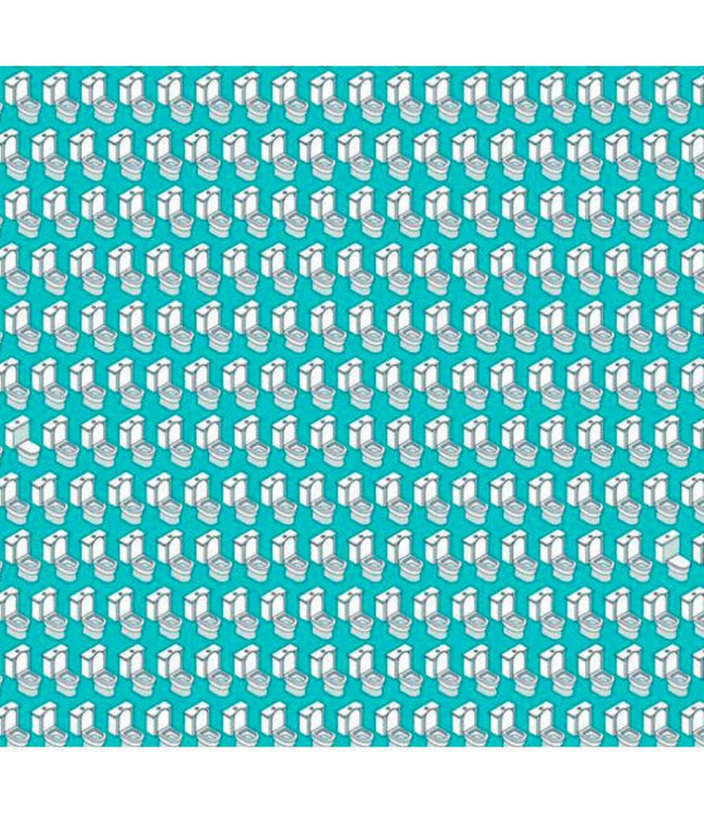 Reto visual inodoros