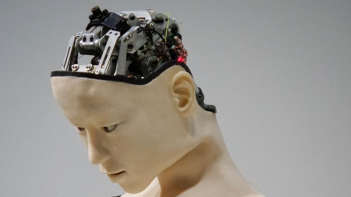 Robofilia, una práctica cada vez más cercana que ya factura millones de euros Robofilia, una práctica cada vez más cercana que ya factura millones de euros