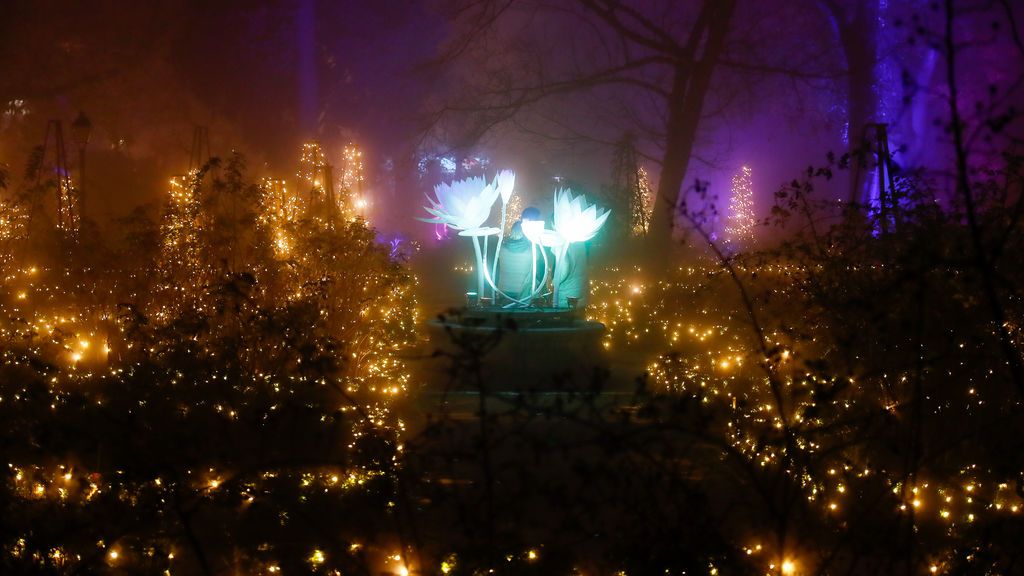 luces de navidad
