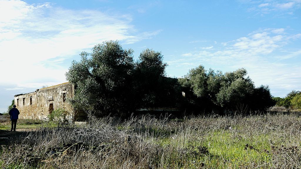 La casa de los Linares que da nombre al bosque