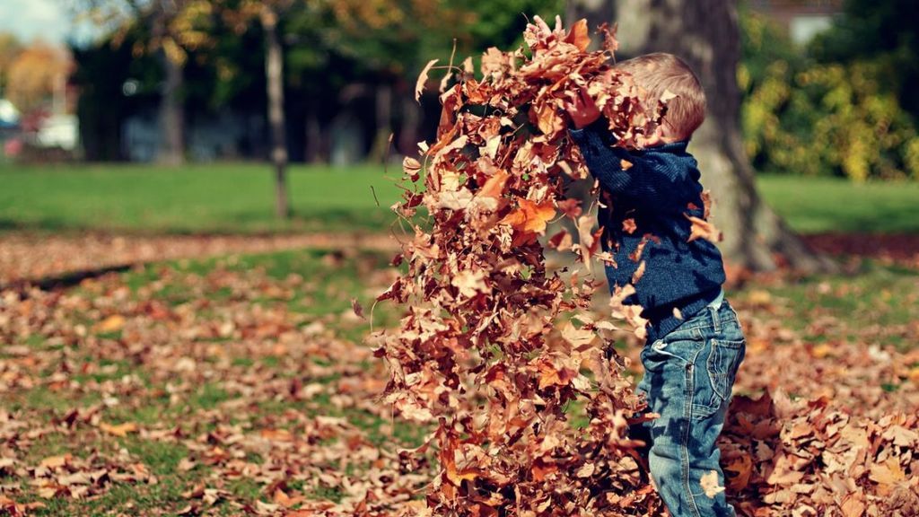 Desde disfrutar de su familia hasta entrenar su imaginación: estos son los beneficios de jugar al aire libre con niños.