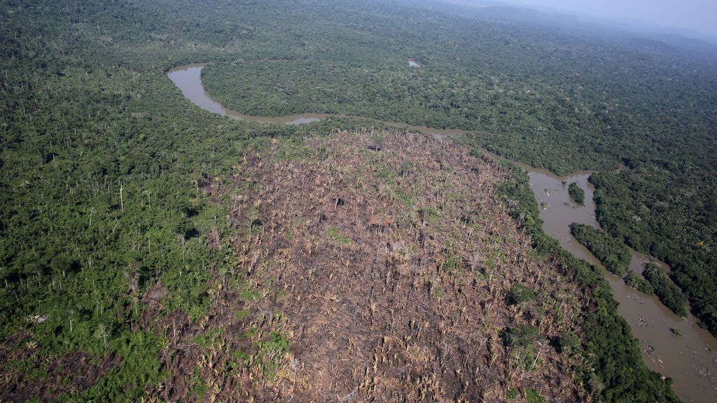 El grito de auxilio de la Amazonia: la deforestación en Brasil alcanza su mayor nivel en 12 años El grito de auxilio de la Amazonia: la deforestación en Brasil alcanza su mayor nivel en 12 años
