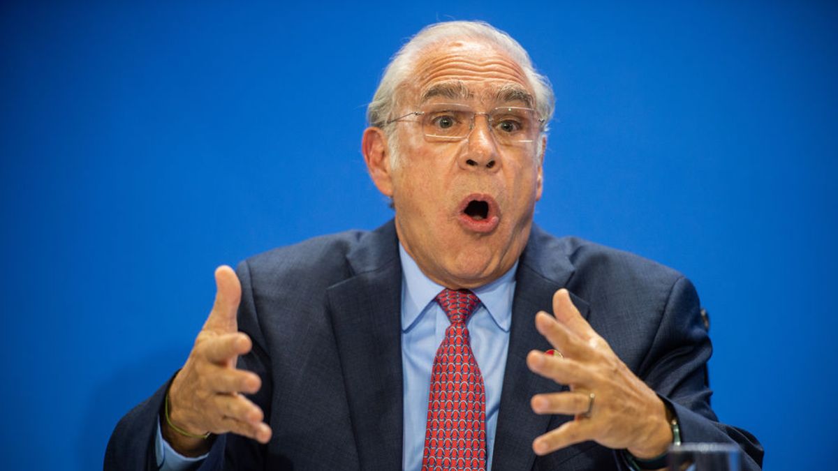 La OCDE critica que España y Francia apliquen unilateralmente la 'Tasa Google' La OCDE critica que España y Francia apliquen unilateralmente la 'Tasa Google'