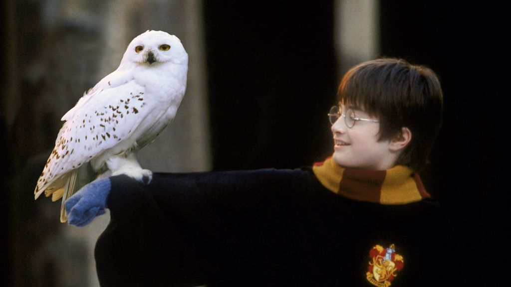 Harry Potter según Steven Spielberg