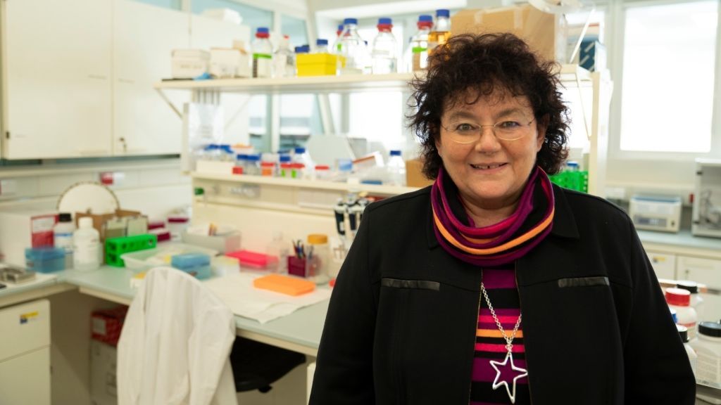 África González, inmunóloga: "Con el 70% de la población vacunada frenaríamos la transmisión del virus" África González, inmunóloga: "Con el 70% de la población vacunada frenaríamos la transmisión del virus"