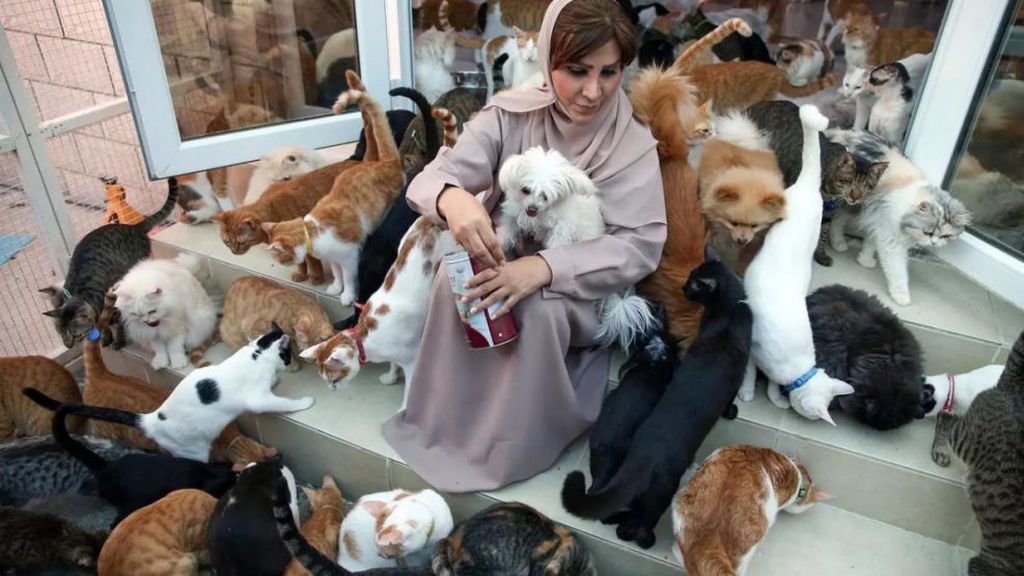 Maryam vive con 480 gatos y 12 perros y se gasta 6.000 euros al mes en mantenerlos