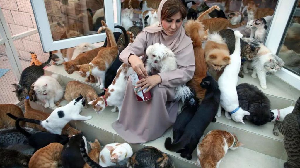 Maryam vive con 480 gatos y 12 perros y se gasta 6.000 euros al mes en mantenerlos