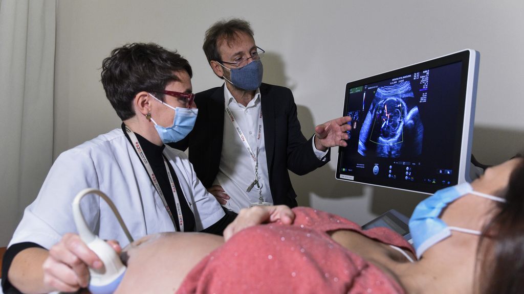 Investigadores de Barcelona desarrollan la primera placenta artificiar de Europa para 'prematuros extremos' Investigadores de Barcelona desarrollan la primera placenta artificiar de Europa para 'prematuros extremos'