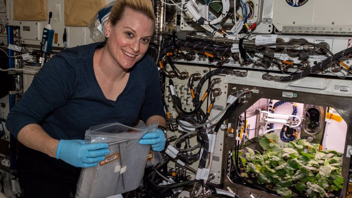 Primeros rábanos extraterrestres: la cosecha de una astronauta desde la Estación Espacial Internacional