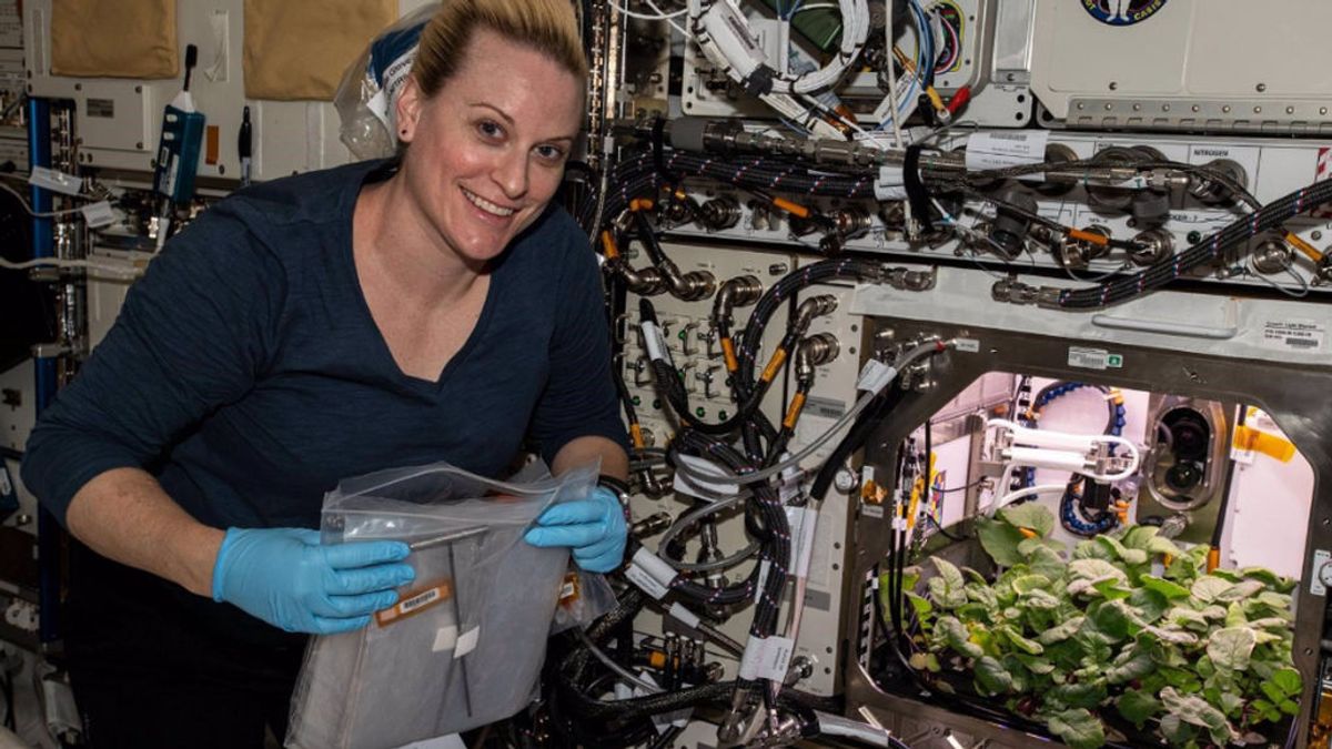 Primeros rábanos extraterrestres: la cosecha de una astronauta desde la Estación Espacial Internacional Primeros rábanos extraterrestres: la cosecha de una astronauta desde la Estación Espacial Internacional