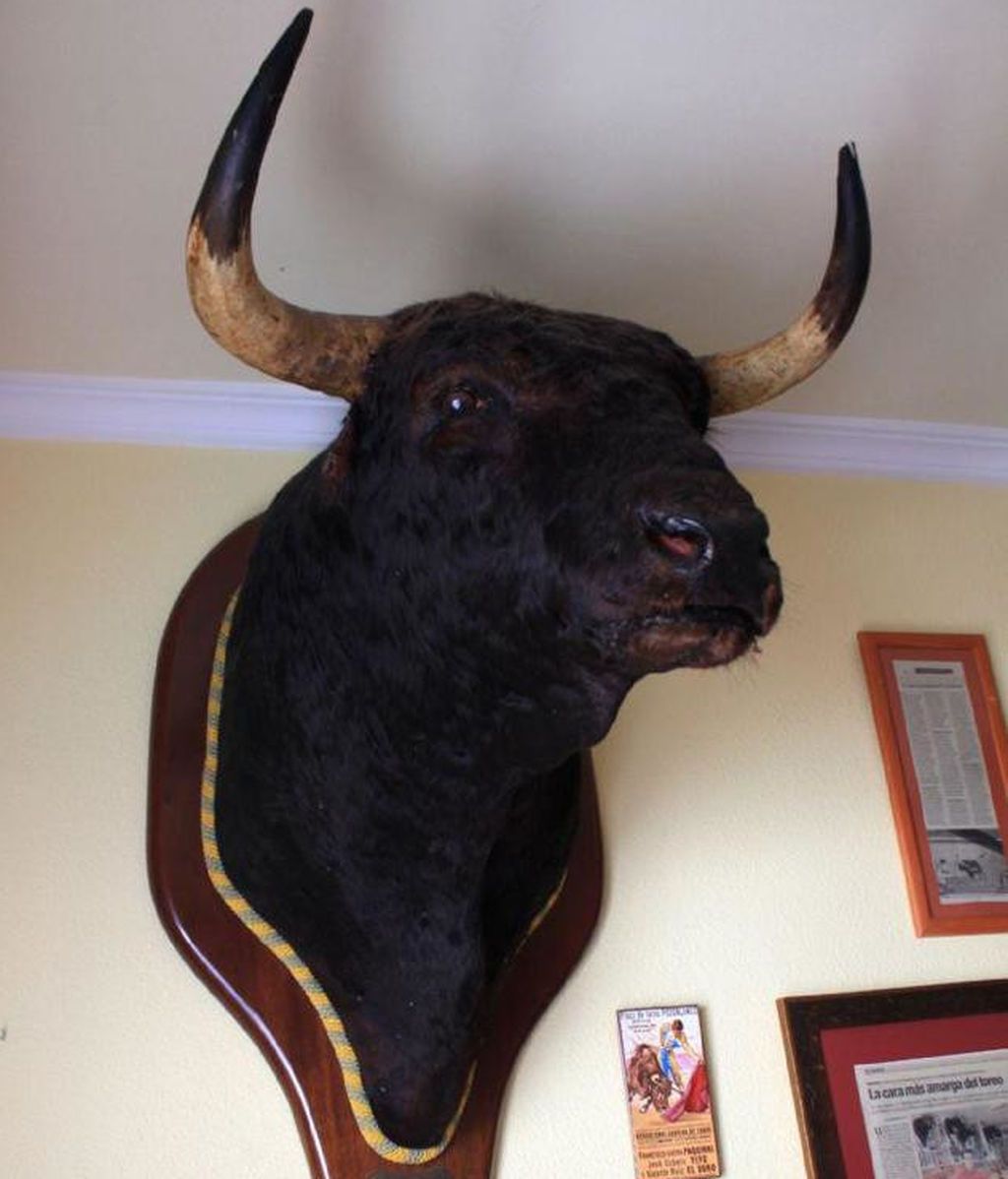 Vendida por 30.000 euros la cabeza de Avispado, el toro que acabó con la vida de Paquirri
