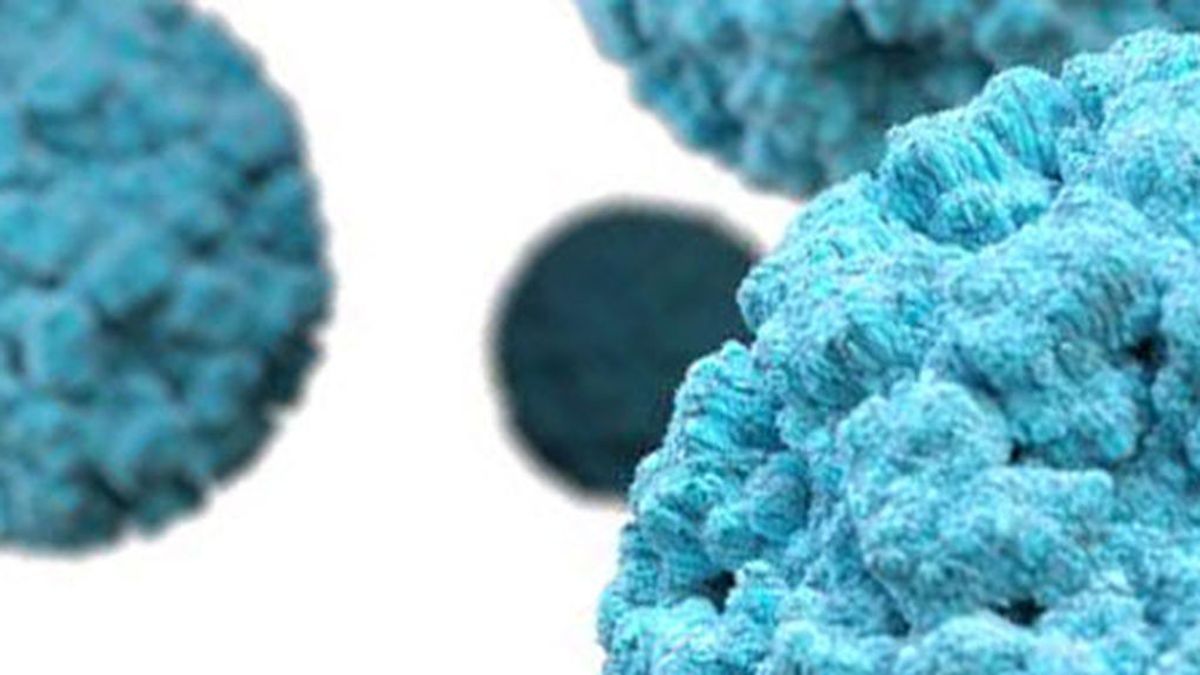 Y ahora, el norovirus: qué es y que riesgos supone el nuevo virus que preocupa a China Y ahora, el norovirus: qué es y que riesgos supone el nuevo virus que preocupa a China