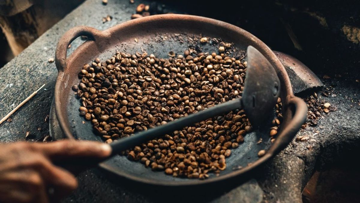 Kopi Luwak: el café más caro del mundo para los más sibaritas