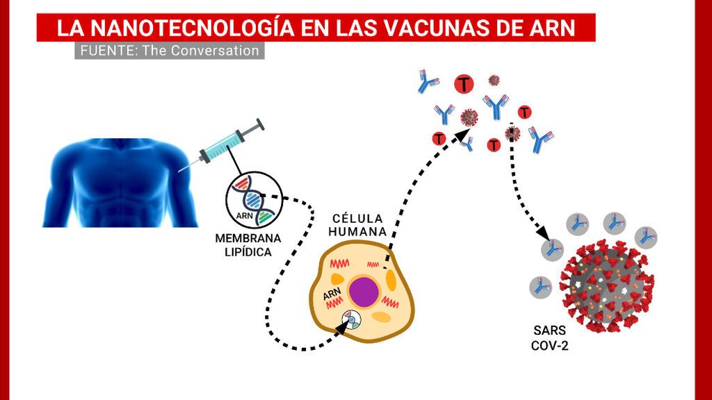 03_NANOTECNOLOGIA_VACUNAS_ARN 03_NANOTECNOLOGIA_VACUNAS_ARN