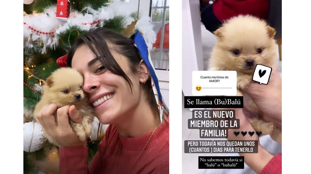 ruth-basauri-amplia-familia-foto