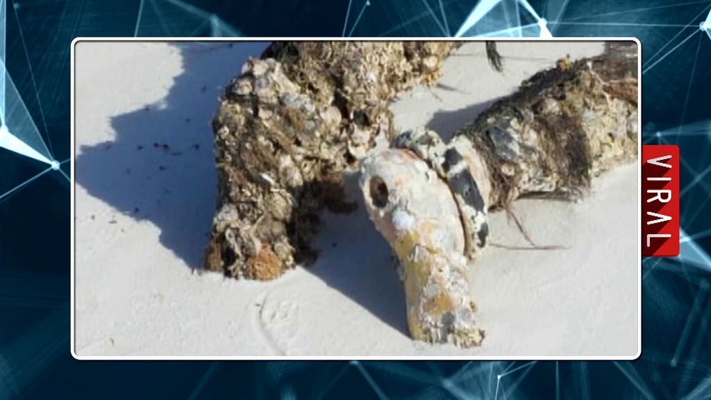 Horror en la playa: un cuerpo decapitado aparece en la orilla provocando el terror de los bañistas Horror en la playa: un cuerpo decapitado aparece en la orilla provocando el terror de los bañistas