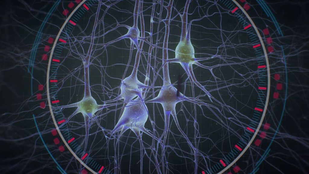 Células de la piel crean neuronas artificiales